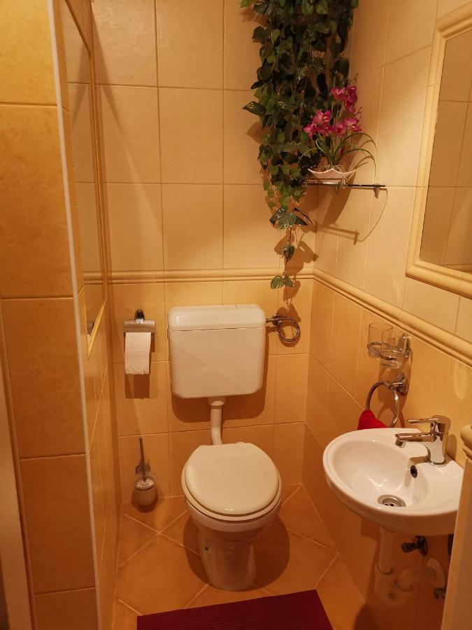 Viktor Vendeghaz Apartment Tokaj Exterior foto